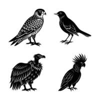 Different Bird silhouette on white background vector