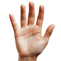 Hand with Spread Fingers and Palm Visible Isolated on Transparent Background png