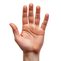 Close-Up of an Open Hand with Fingers Spread Apart and Palm Facing Forward Isolated on Transparent Background png