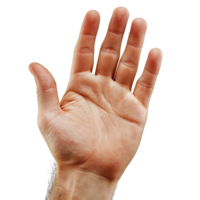 Close-Up of an Open Hand with Extended Fingers and Visible Palm Details Isolated on Transparent Background png