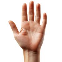 Open Hand Gesture with Fingers Spread Isolated on Transparent Background png