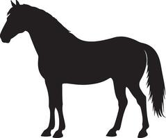 Running Stallion Silhouette on White Background vector