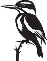 Kingfisher Silhouette on White Background vector
