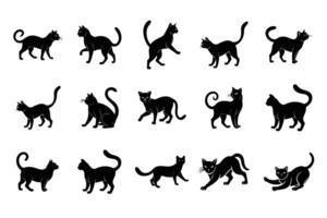 cat silhouette on white background vector