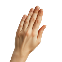 Hand Displaying a Neutral Gesture with Closed Fingers Isolated on a Transparent Background png