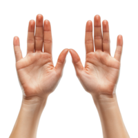 Symmetrical Hand Gesture with Palms Facing Forward and Fingers Spread Isolated on Transparent Background png