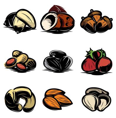 Nuts and Seeds Illustration Variety Pack for Designers