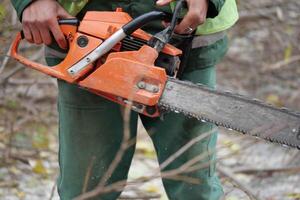 A Worker Utilizing a Chainsaw for Effective Forest Management Practices photo