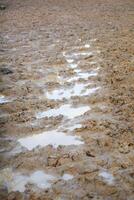 Mud Puddles on Dry Terrain with Beautiful Reflections Across the Surface photo