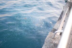 Sea water pollution with garbage photo