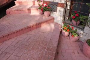 Charming Pink Stairs Adorned with Flower Pots and Beautiful Decorative Tiles photo
