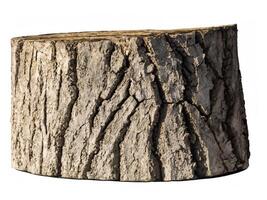 wood stump isolated against white background. photo