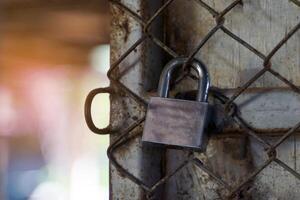 The padlock locks the steel gate to keep it safe and prevent thieves. Soft and selective focus. photo