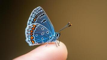 a blue butterfly on human finger with blurres background photo