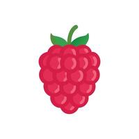 raspberry fruit icon illustration vector
