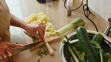 Person chopping vegetables in a kitchen with fresh ingredients for cooking photo