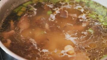 Simmering pot of vegetable soup with mushrooms and green toppings photo