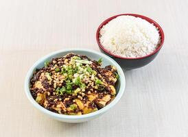 Saliva chicken with white rice topped with nuts served in bowl isolated on white background side view of hong kong food photo