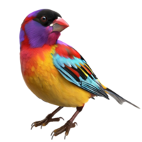 Gouldian Finch with green, yellow, and purple plumage isolated on transparent background png