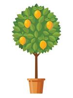 Lemon tree in a pot highlighting vibrant fruits and lush leaves vector