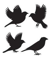 Bird Silhouettes Collection Different Sparrow Flying Positions vector