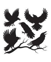 Raven Silhouettes in Black Flying, Perched, and Calling with a Gothic Aesthetic vector
