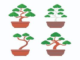 Elegant bonsai trees in pots against a bright white background vector