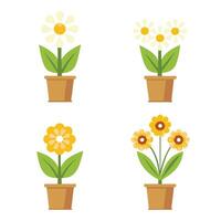 Colorful flowers in pots displayed on a white background vector