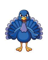 Frustrated turkey showing feathers on a white background vector