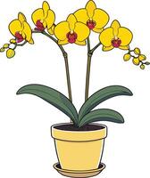 Bright yellow orchids in a pot with green leaves and soil vector