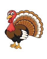 Cartoon turkey with colorful feathers on white background vector