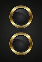 Group of two Luxury Buttons Design, Double elegant circle buttons, structure with a deep black core and a polished gold border. The shine on the frame. vector