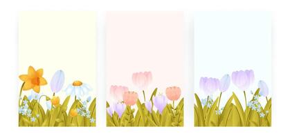 Frames, floral posters with copy space. Flowers on empty background vector