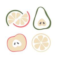 Modern Simple Fruit Set of Apple, Pear, Orange, Lime, Citrus Slices in Minimalistic Flat Style vector