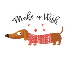 Cute dachshund dog in a knitted sweater and lettering make a wish. Illustration in flat style, print vector