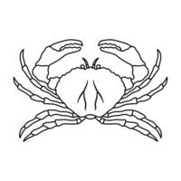 crab art,graphics crabs icons set,vintage illustration crab vector