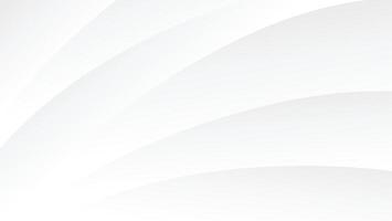 abstract white background with color gradient and lines decoration vector