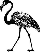 Flamingo bird silhouette isolated on white background vector