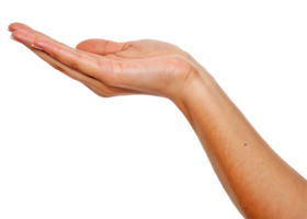 A woman's hand with the palm facing upwards, as if offering or presenting something png