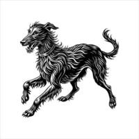 Irish Wolfhound Dog running vector