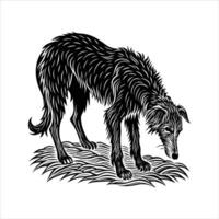 Irish Wolfhound Dog sniffing vector