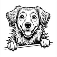 Nova Scotia Duck Tolling Retriever peeking Dog. vector