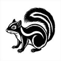 Philippine tree squirrel vector
