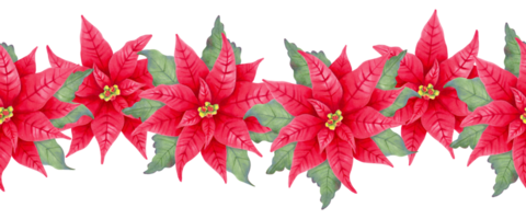 Christmas border of poinsettia flowers. Watercolor illustration. Hand drawn isolated art. Frame of realistic red plant with star flower and leaves for New Year and winter holidays decoration png