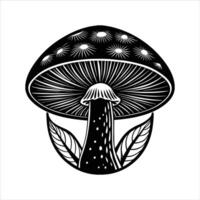 Mushroom Definition Characteristics vector