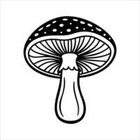 Mushroom Definition Meaning vector