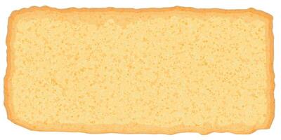 Abstract piece of butter sponge cake isolated cross section view graphic illustration. vector
