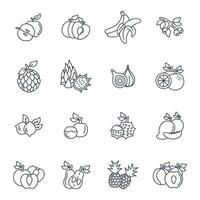 Fruits icons set . Fruits pack symbol elements for infographic web vector