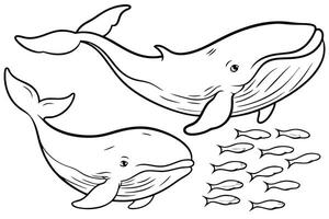 Illustration of A group of whales swimming in the deep ocean, perfect for marine and aquatic themes, ideal for educational or artistic purposes. vector