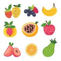 Delicious Array of Tropical Fruits vector